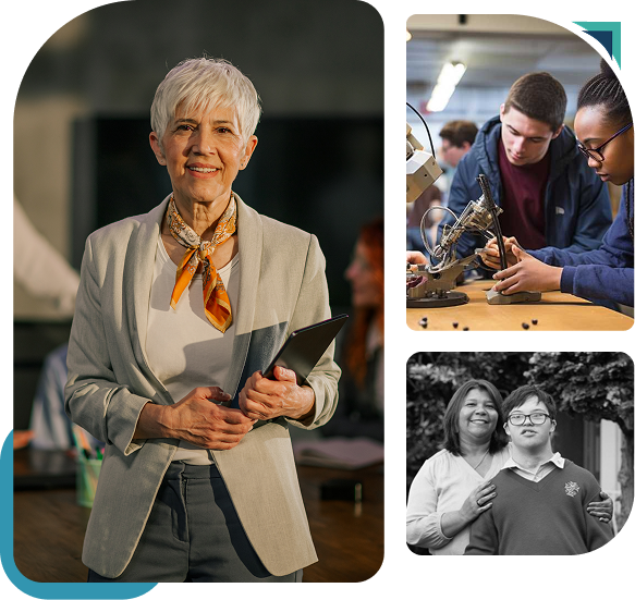 Transitions-program-accordian-image icon